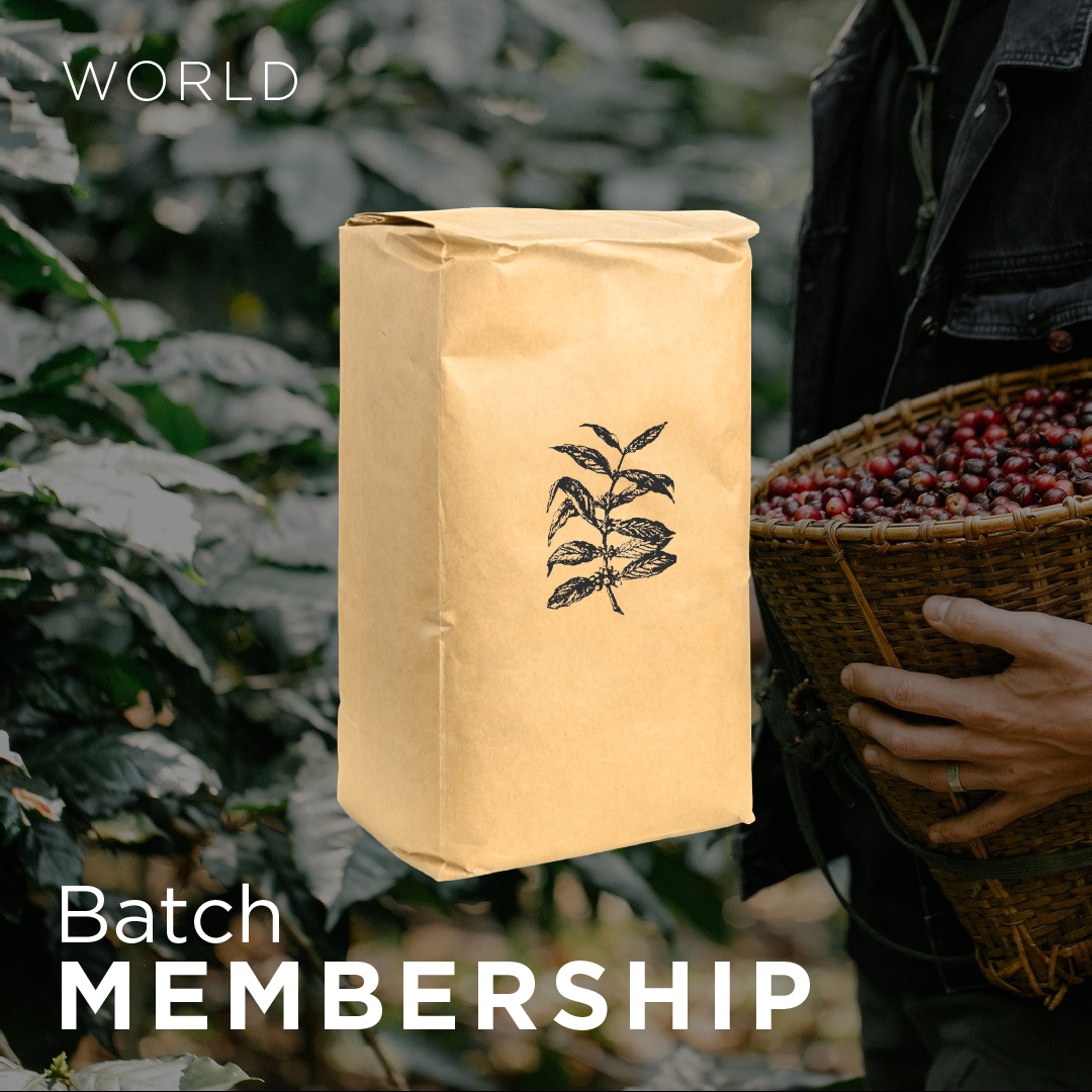 BATCH WORLD MEMBERSHIP